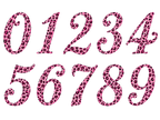 T-Shirt Pink Leopard